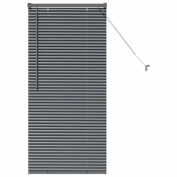 vidaXL Store de Fenêtre Gris foncé 60 x 130 cm Aluminium