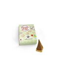50 pyramides d'encens anti-moustiques 30 min