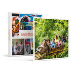 SMARTBOX - Coffret Cadeau Billets pour le Parc Astérix : 2 entrées adulte et 2 entrées enfant en 2026 -  Multi-thèmes