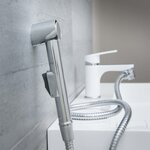 SCHÜTTE Pomme de douche NANCY chrome