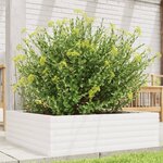 vidaXL Jardinière blanc 80x80x23 cm bois de pin massif