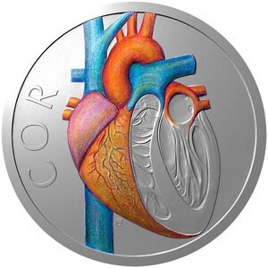 Pièce de monnaie en Argent 1 Dollar g 31.1 (1 oz) Millésime 2026 Human Body CIRCULATORY SYSTEM