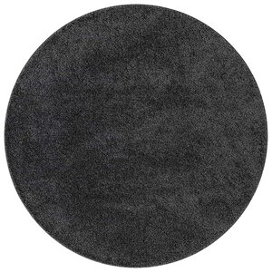 vidaXL Tapis Shaggy Anti-dérapant Gris foncé 160 x 160 cm PP