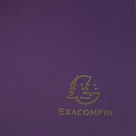 Chemise À Élastique 3 Rabats Polypropylène 4/10e Opaque Eco - A4 - Violet - X 30 - Exacompta