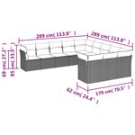 vidaXL Salon de jardin 11 Pièces avec coussins noir résine tressée
