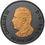 Pièce de monnaie en Argent 20 Dollars g 31.39 Millésime 2025 ELEGANT MAPLE