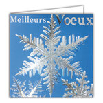 Carte Meilleurs Vœux avec Enveloppe Blanche 15x15cm