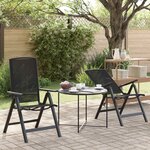 vidaXL Chaises de jardin inclinables 2 Pièces Noir 58 x 71 x 112 cm