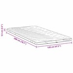 vidaXL Coussins de Matelas Blanc 120 x 200 cm Polyester sans colle