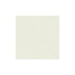 Ramette 500 Feuilles Papier 80g A4 210x297 mm Certifié FSC GRIS PERLE TROPHÉE
