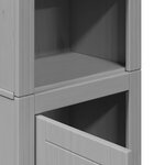 vidaXL Armoire de salle de bain BODO gris 44x30x160 cm