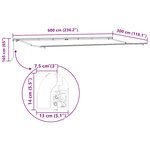 vidaXL Auvent manuel rétractable anthracite et blanc 600x300 cm