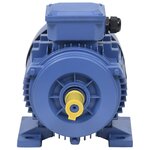vidaXL Moteur électrique triphasé Aluminium 2 2kW/3 CH 2840 tr/min