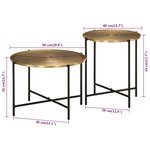 vidaXL Tables basses lot de 2 laiton et noir métal