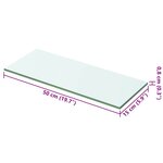 vidaXL Panneaux d'étagère 2 Pièces Verre Transparent 50 x 15 cm