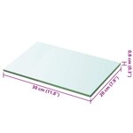 vidaXL Panneau pour étagère Verre transparent 30 x 20 cm