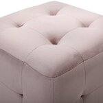 vidaXL 2 Pièces Poufs Rose 30 x 30 x 30 cm Tissu velours