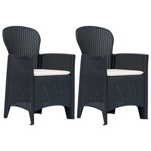 vidaXL Chaises de jardin lot de 2 avec coussin Anthracite Plastique