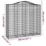 vidaXL Paniers à gabions arqués 2 Pièces 200x50x180/200 cm Fer galvanisé