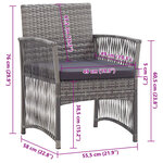 vidaXL Fauteuils de jardin coussins lot de 2 Anthracite Résine tressée