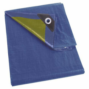 Perel Bâche  résistant  36 œillets  angles renforcés  rectangulaire  bleu/vert  110 g/m²  8 x 10 m