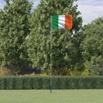 vidaXL Drapeau de l'Irlande et mât 5 55 m Aluminium