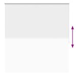 vidaXL Store roulant 160 x 175 cm Blanc
