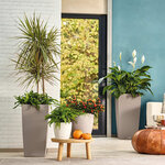 LECHUZA Jardinière CLASSICO Color 21 ALL-IN-ONE Blanc