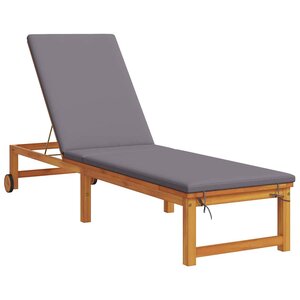 vidaXL Transat 1-personne Marron 53 x 202 x 89cm Bois d'acacia massif