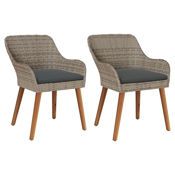 vidaXL -chaises de jardin avec coussins 2 Pièces Noir Poly Rattan
