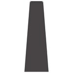 vidaXL Braise Noir 50 x 35 x 100 cm Acier laminé à froid