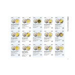 Catalogue de cotation monnaies et billets Euros 2025.
