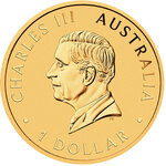 Pièce de monnaie en Argent 1 Dollar g 31.1 (1 oz) Millésime 2026 AUSTRALIAN NUGGET (PRÉCOMMANDE)