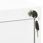 vidaXL Classeur Blanc 46x62x133 cm Acier
