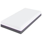 vidaXL Matelas Blanc et Gris 80 x 160 cm Mousse à Mémoire