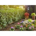 Gardena système de goutte-à-goutte pour rangées de plantes 15 m 13010-20