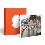SMARTBOX - Coffret Cadeau L'Europe en train : pass Interrail de 7 jours -  Sport & Aventure