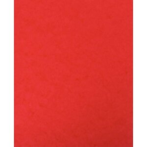 Lot de 10 protège-cahiers avec 2 grands rabats 18 x 22 cm en carte lustrée rouge