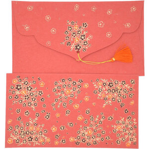 PAPERTREE HANAÉ Lot de 5 Enveloppes cadeau 19x10cm Rouge