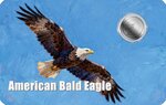 Pièce de monnaie en Platine 12 Dollars g 0.031 (1/1000 oz) Millésime 2026 AMERICAN BALD EAGLE 1/1000 (PRÉCOMMANDE)