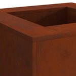 vidaXL Foyer de cheminée Marron 60 x 60 x 30 cm Acier patiné