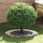 vidaXL Anneau d'arbre plat 5 Pièces Blanc Ø60/90 cm Acier