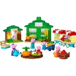 Lego 10461 - Le jardin de Papy Pig et la serre