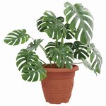 vidaXL Pot à fleurs rond 24 Pièces Rouge brique Ø 26 x 21 5 cm Plastique