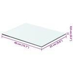 vidaXL Panneaux d'étagère 2 Pièces Verre Transparent 40 x 25 cm