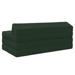 vidaXL Canapé-lit pliable Vert foncé 120 x 60 x 49 cm Tissu