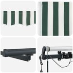 Auvent rétractable automatique vidaXL avec LED Vert et Blanc 600x300 cm