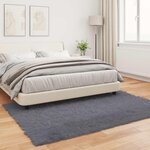 vidaXL Tapis en fausse Tafalla Anthracite 160 x 230 cm Polyester