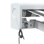 vidaXL Auvent rétractable anthracite/blanc 3x2 5 m tissu et aluminium