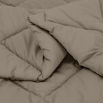 vidaXL Duvet d'hiver Gris clair 200 x 140 cm Microfibre